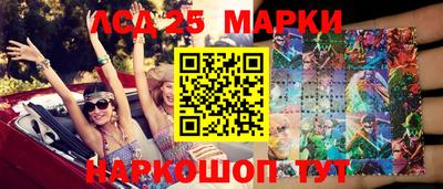 стаф Можга