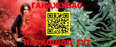 стаф Можга