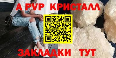 стаф Можга