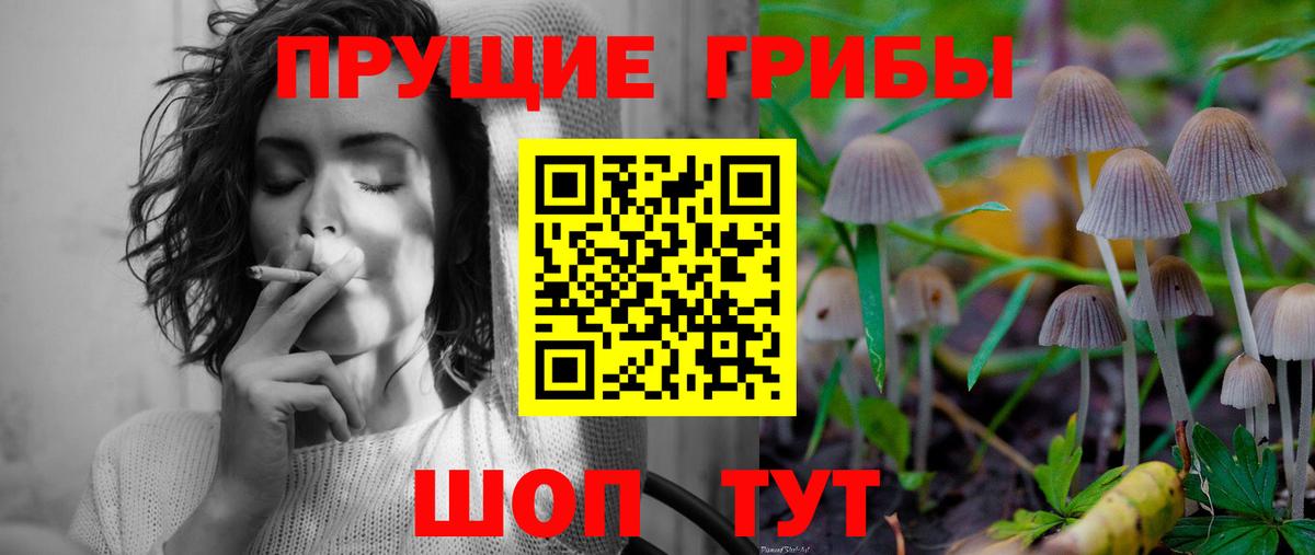 купить  сайты  Галлюциногенные грибы GOLDEN TEACHER  Вход с VPN  Сухой Лог  Псилоцибиновые грибы прущие грибы 
